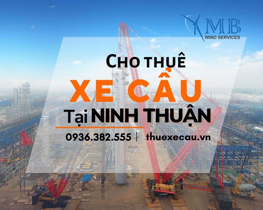 Cho thuê xe cẩu tại Ninh Thuận